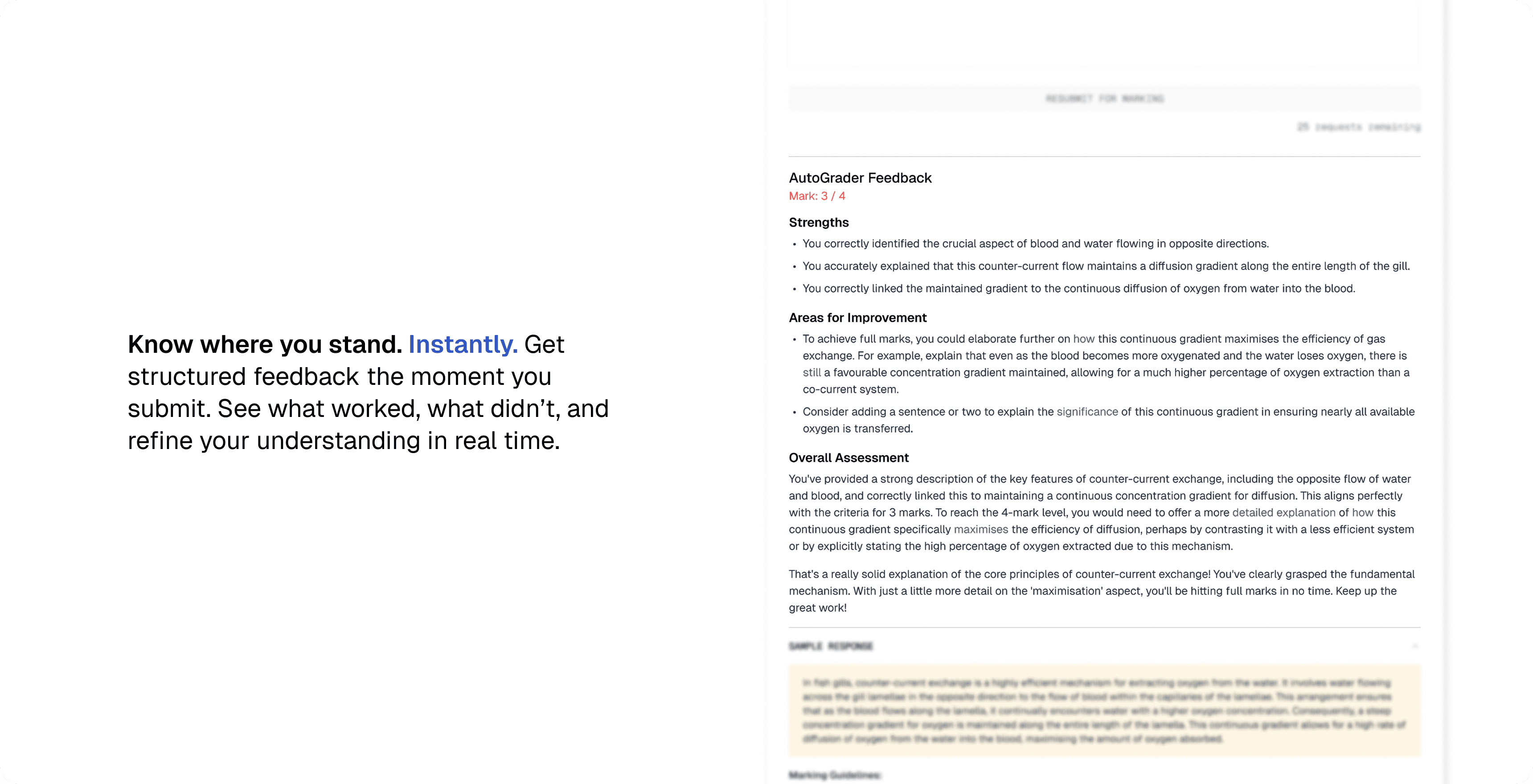 Autograding feature in Analytica showing instant feedback on performance