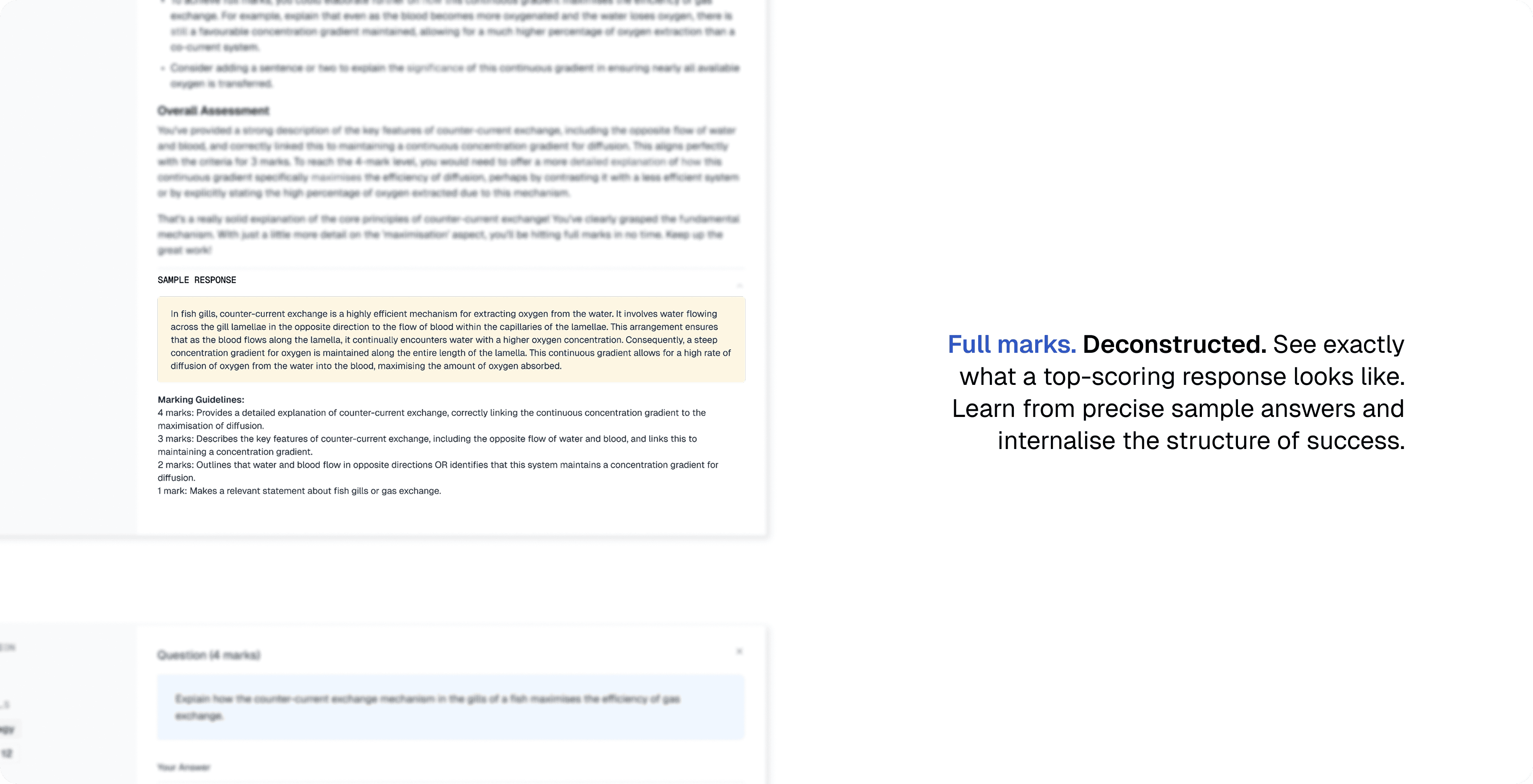 Sample responses in Analytica with full marks deconstructed