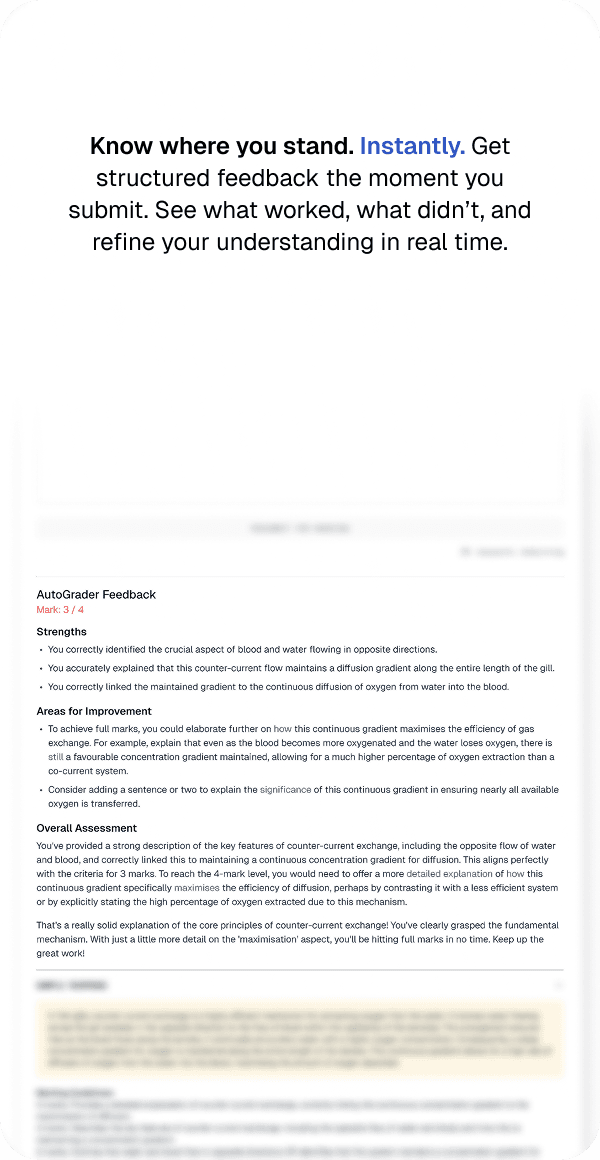 Autograding feature in Analytica showing instant feedback on performance